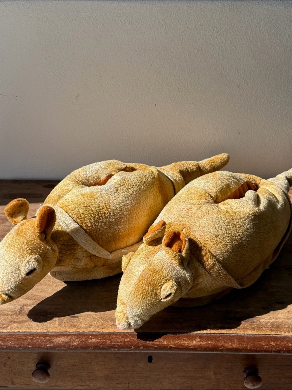 Vintage armadillo slippers